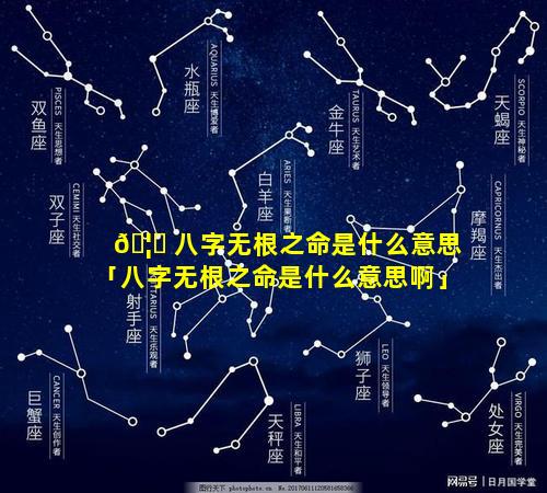 🦉 八字无根之命是什么意思「八字无根之命是什么意思啊」